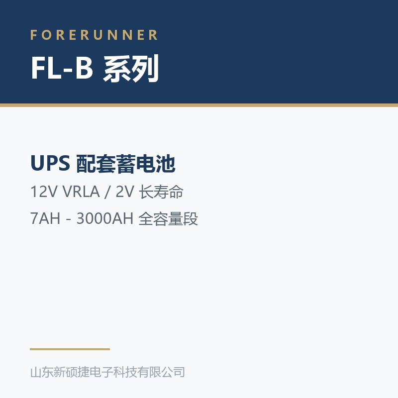 FL-B 系列 12V 阀控式铅酸蓄电池(淄博高青县UPS电源)
