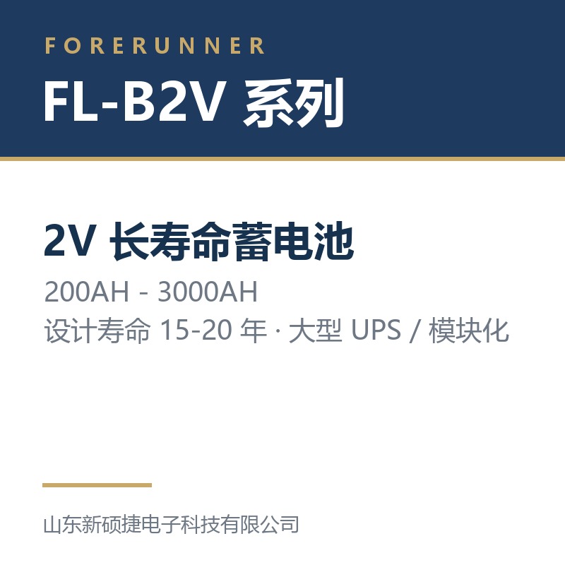 FL-B2V 系列 2V 长寿命蓄电池(淄博高青县UPS电源)